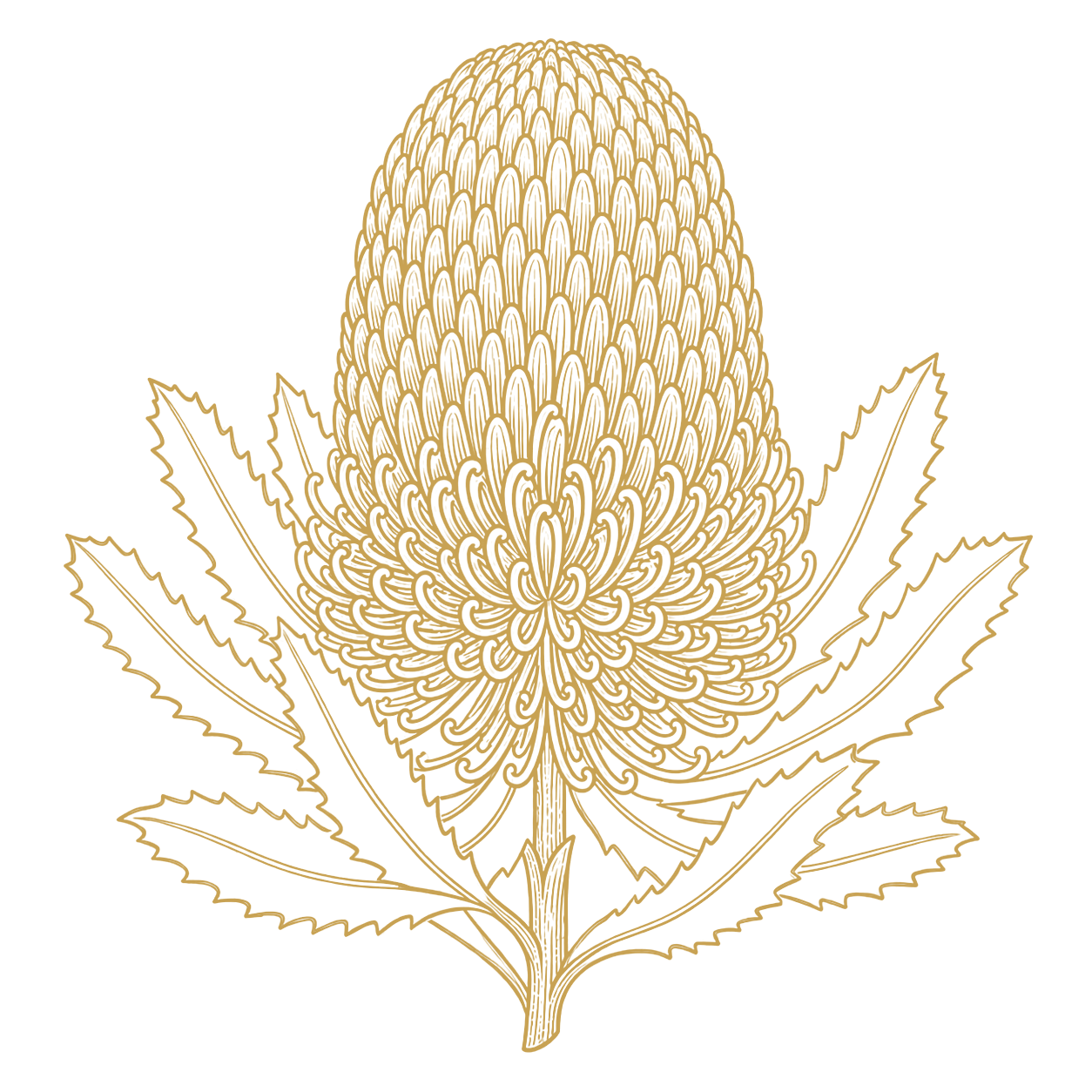 Banksia Icon